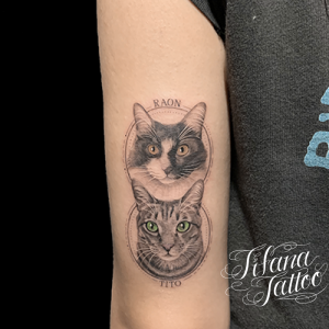 愛猫2匹のポートレートタトゥー