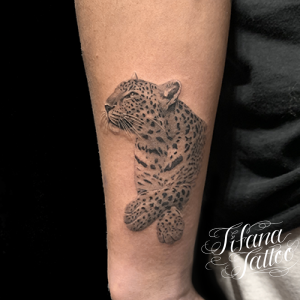 豹のファインライン・タトゥー