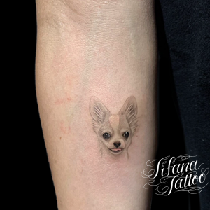 愛犬|チワワのファインライン・タトゥー