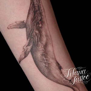 クジラのファインライン・タトゥー