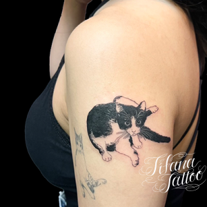 持ち込み|猫のタトゥー