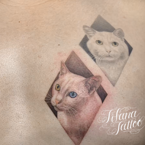白い愛猫のポートレート・タトゥー