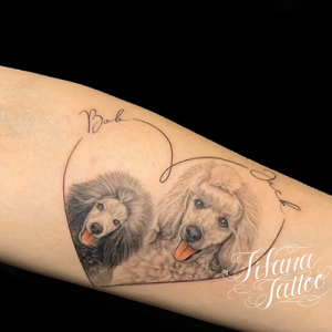 プードルのポートレート・タトゥー